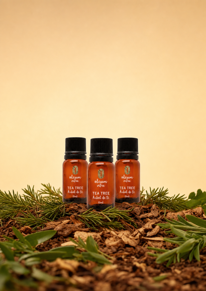 Combo 3x2 Aceite Esencial de Árbol de té