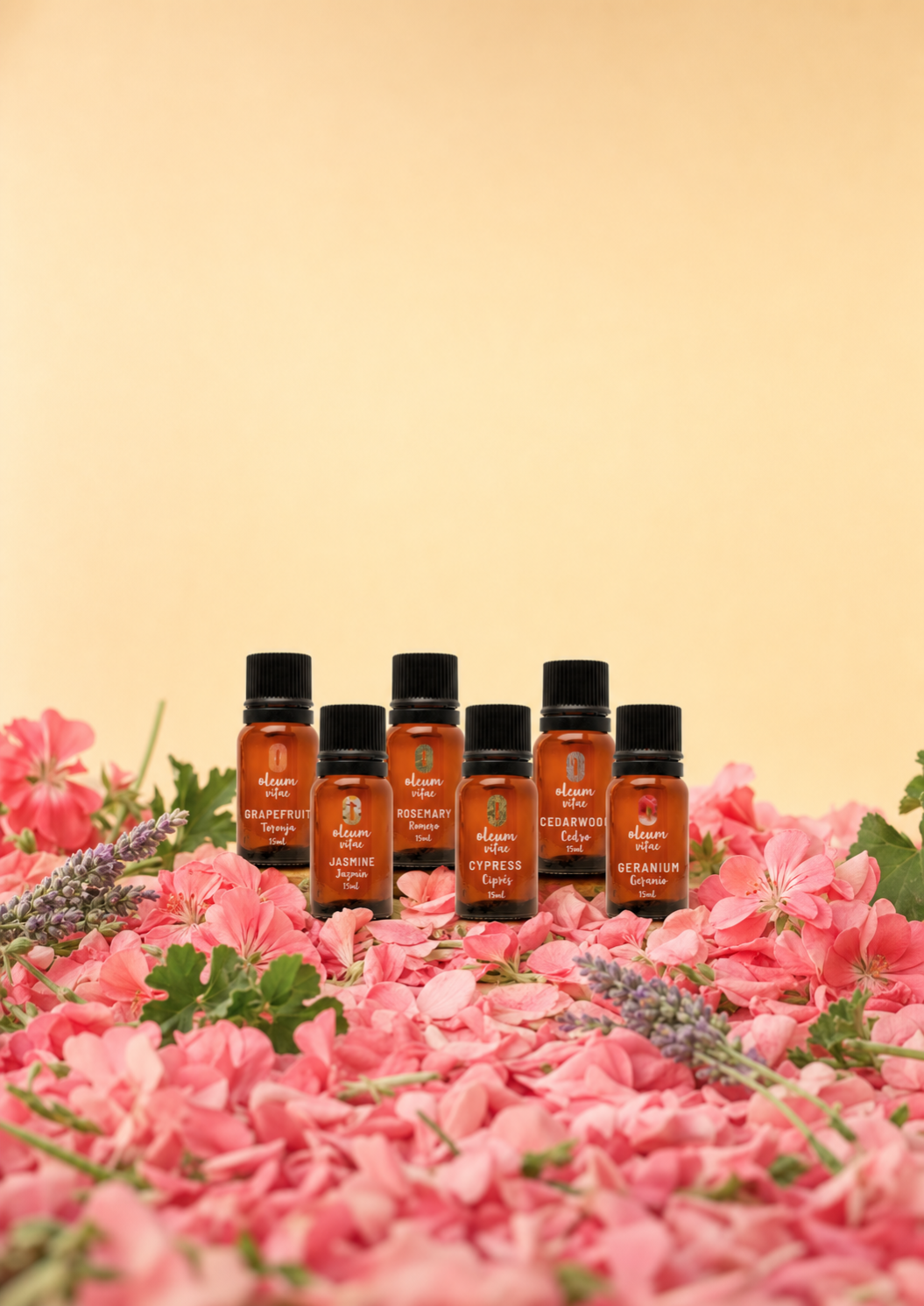 Kit Belleza