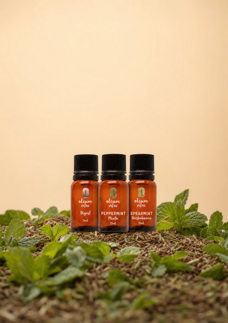 Kit Aceites Esenciales Estómago