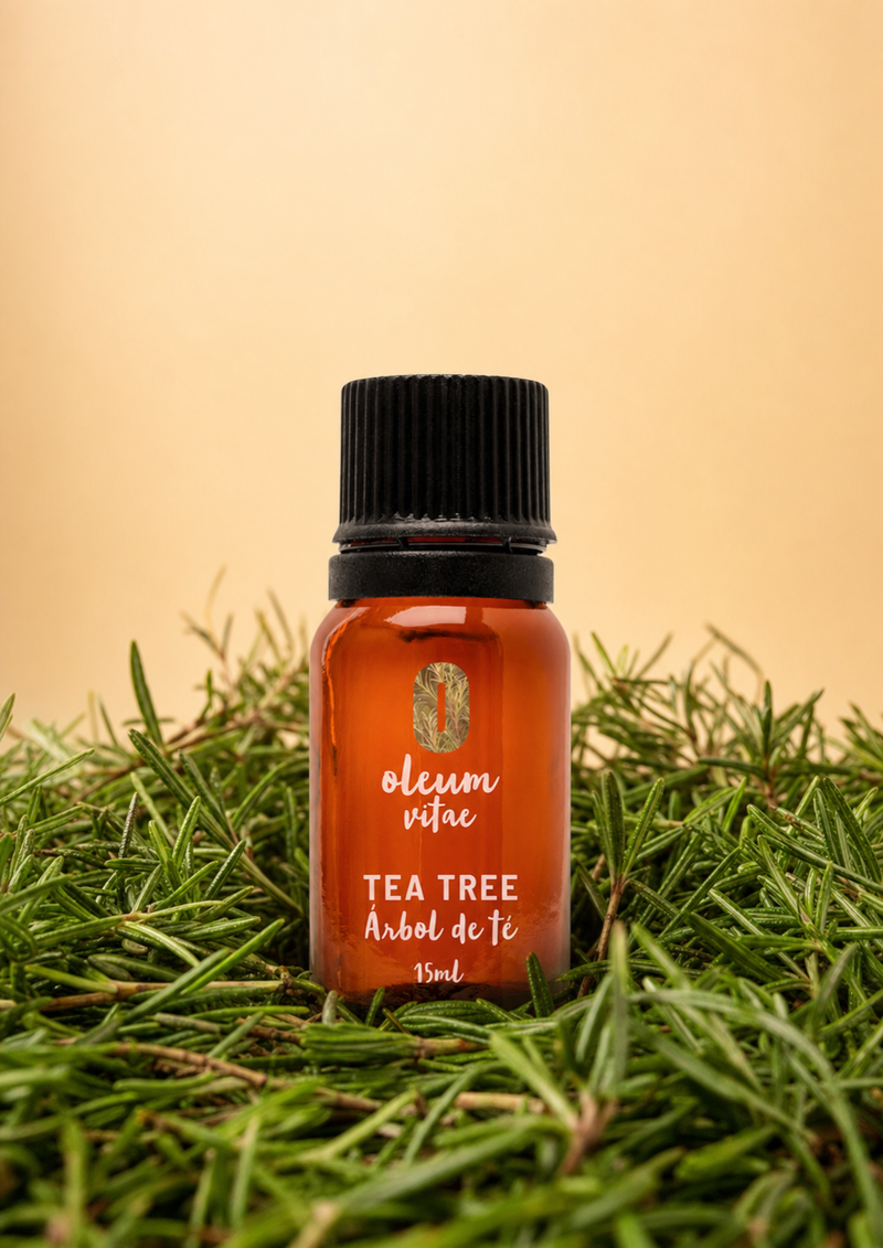 Aceite Esencial Puro Árbol de Té