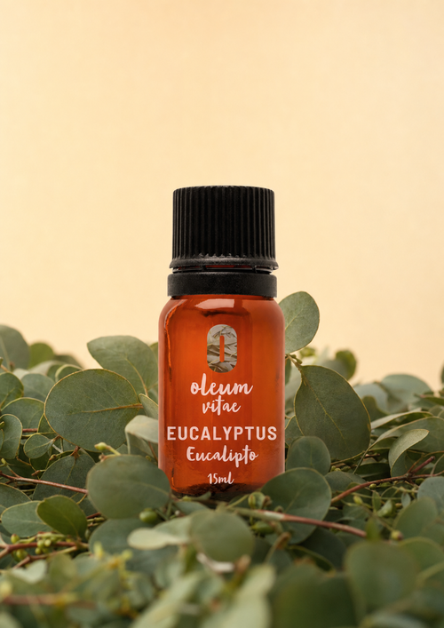 Aceite Esencial Puro Eucalipto