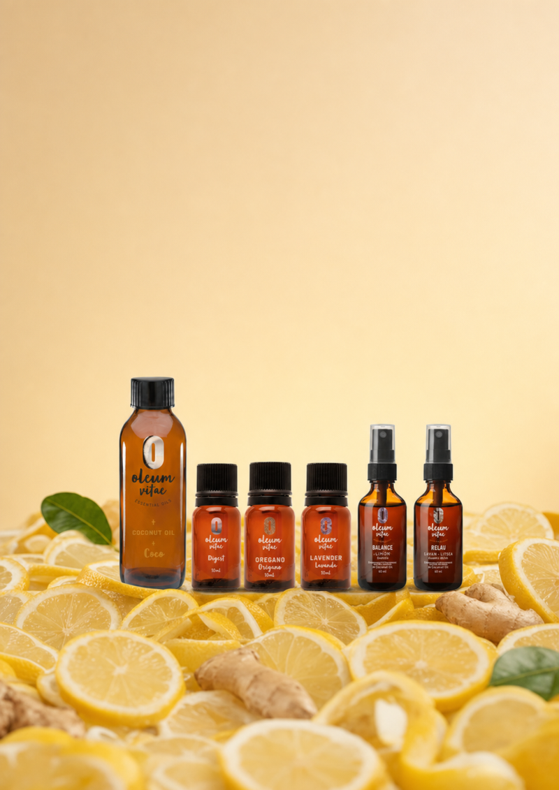 Kit de Temporada Verano