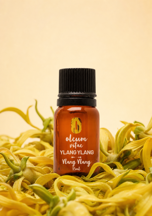 Aceite Esencial Puro Ylang Ylang