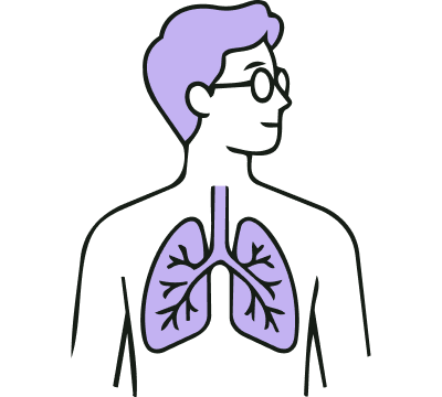 Sistema respiratorio