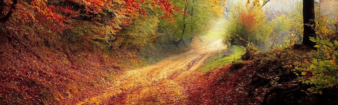 road-g37fee68b2_1280