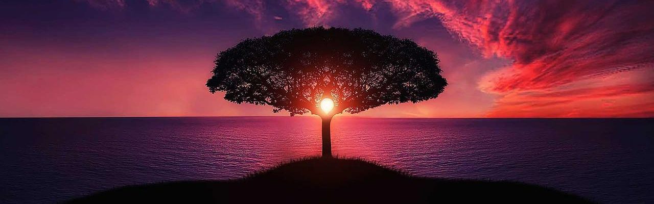 tree-ge6c5234e2_1280