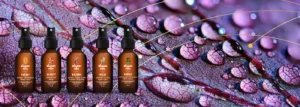 Body Mist